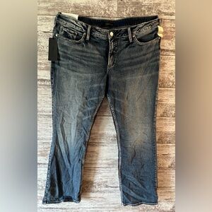 Women’s Plus Silver Jeans